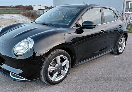 ORA Funky Cat 03 300