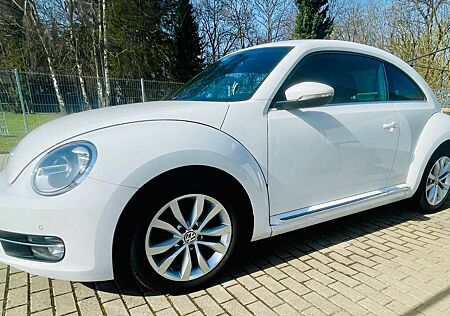 VW Beetle Volkswagen 1.2TSi *ALU*SHZ*KLIMA*PDC*|SOFIX* Temp