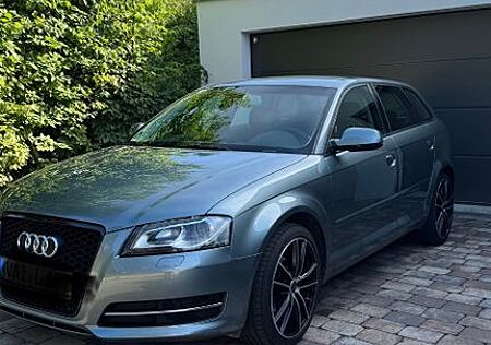 Audi A3 8PA