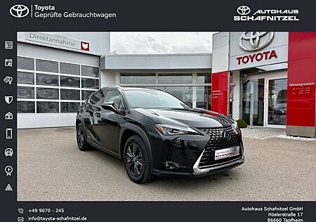 Lexus UX 250h Amazing Ed. 2,0l-Hybrid*LED*ACC*CarPlay*