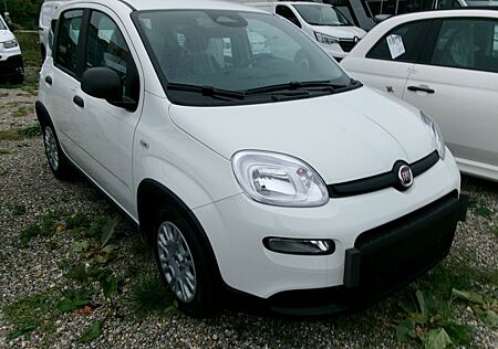 Fiat Panda MY24