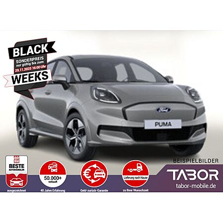 Ford Puma leasen