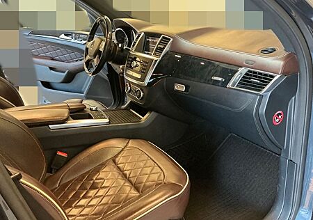 Mercedes-Benz ML 350 gebraucht kaufen Mercedes-Benz ML 350 4Matic AMG*Edition 1*designo*Panorama*