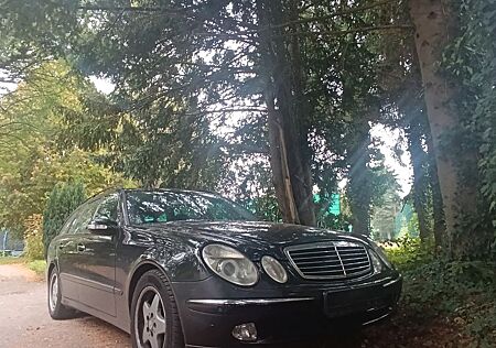 Mercedes-Benz 280 gebraucht kaufen Mercedes-Benz 280