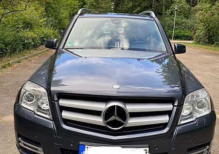 Mercedes-Benz 220 4MATIC, AHK, TOP