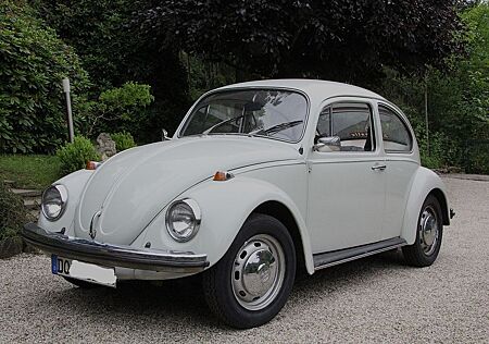 VW Käfer Volkswagen