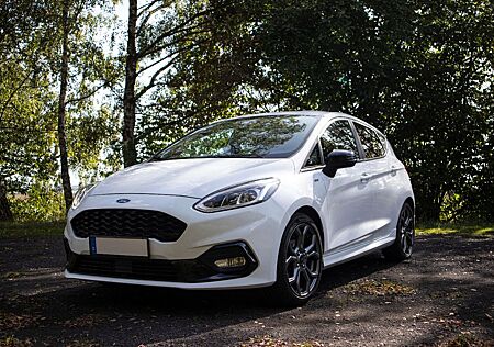 Ford Fiesta ST-Line 140PS // 8 Fach bereift