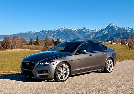 Jaguar XF 3.0d V6 R-SPORT 300PS 20 ZOLL PANO/AHK/UVM!