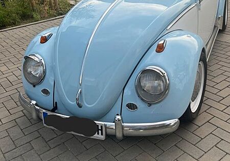 VW Käfer Volkswagen