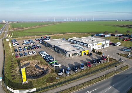 Citroën C4 Cactus 1.2 PureTech Shine Sitzhzg Multimedia