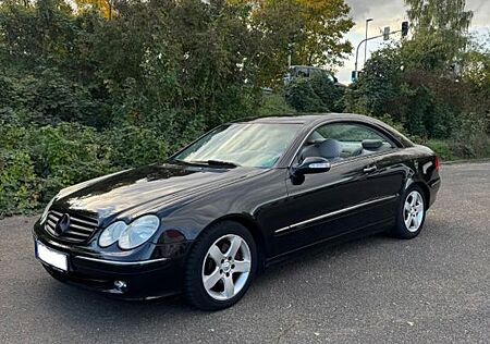 Mercedes-Benz CLK 240 gebraucht kaufen Mercedes-Benz CLK 240 ELEGANCE Elegance FESTPREIS!