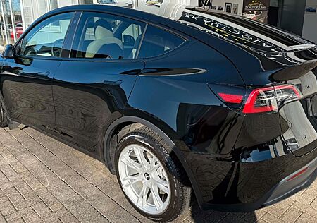 Tesla Model Y Performance Dual Motor AWD Performance