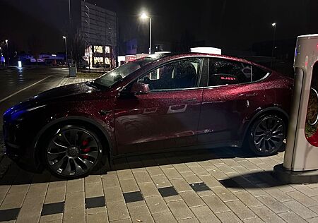 Tesla Model Y Performance
