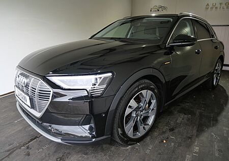 Audi e-tron 50 quattro advanced Pano/Leder (5)