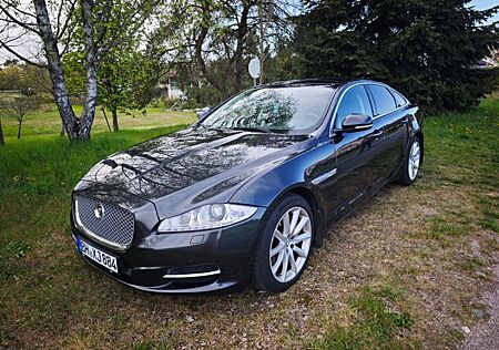 Jaguar XJ Premium Luxury 3.0 V6 Diesel Premium Luxury