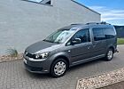 VW Caddy Volkswagen 1,6TDI 75kW Maxi Roncalli Rollstuhlrampe