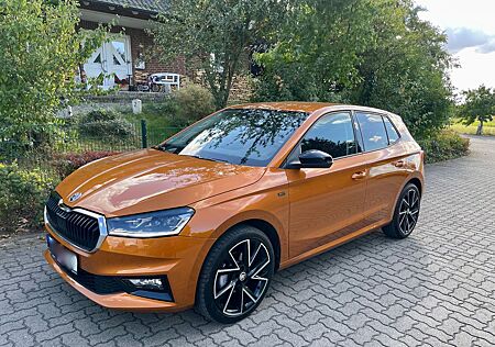 Skoda Fabia 1.0l TSI 85kW DSG Drive 360° Kamera NAVI