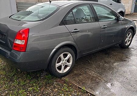 Nissan Primera Lim. Acenta