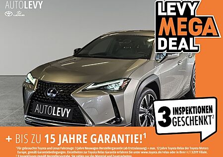 Lexus UX 250h Luxury Line *M&L*SCHIEBEDACH*