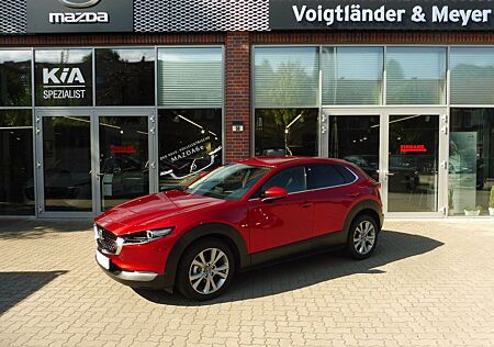 Mazda CX-30 Selction Autom. Design-Paket Ganzjahresrei