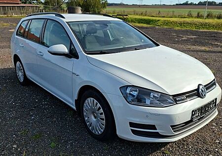 VW Golf Volkswagen 1.4 TGI DSG Trendline BlueMotion Variant