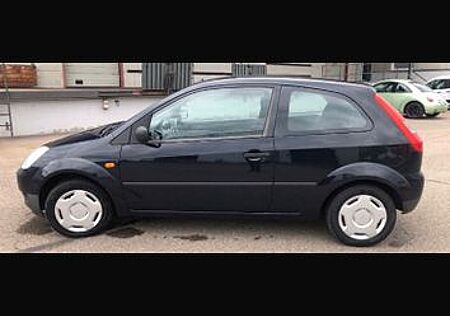 Ford Fiesta 1,3 44 kW Viva Viva