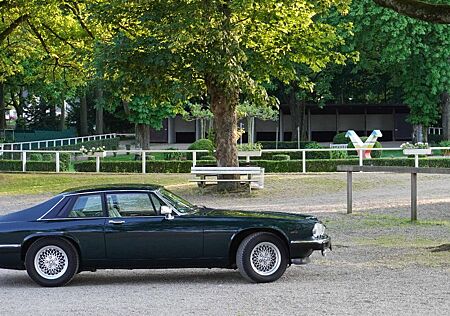 Jaguar XJS V12 in Traumzustand, grün / beige