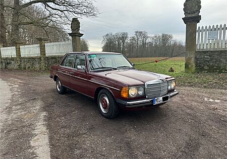 Mercedes-Benz 230 W123 E | Fahrzeughistorie