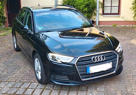 Audi A3 Sportback 35 TFSI OPF NAVI XENON-PLUS LM 16