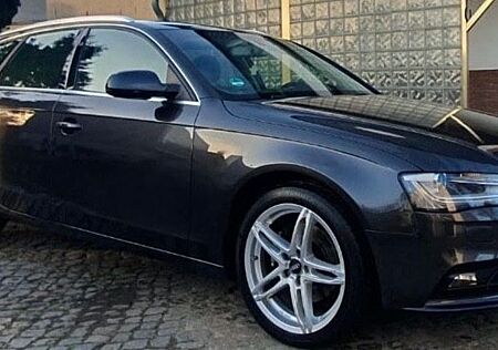 Audi A4 3.0 TDI 150kW Ambiente Avant Ambiente