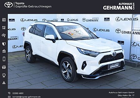 Toyota RAV 4 Plug-in-Hybrid Teamplayer