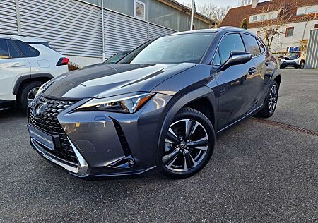 Lexus UX 250h Style Edition PDC/NAVI/SRA