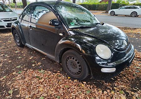 VW Beetle Volkswagen TÜV 10/2026
