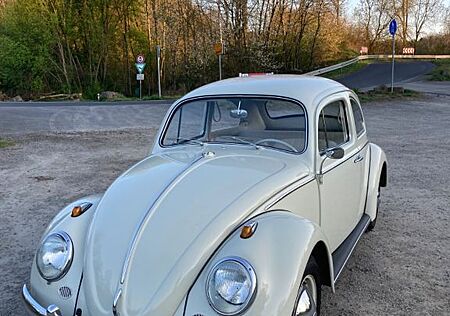 VW Käfer Volkswagen