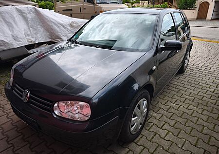 VW Golf Volkswagen 1.4 Zahnriemen neu