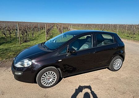 Fiat Punto EVO Dynamic - Sehr Gepflegt Zahnriemen Neu