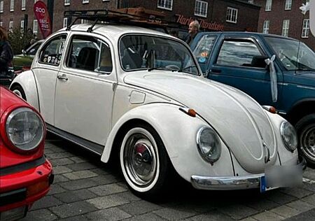 VW Käfer Volkswagen