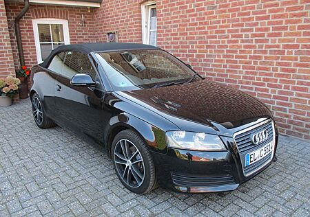 Audi A3 1.9 TDI Attraction Cabriolet RECHTSLENKER