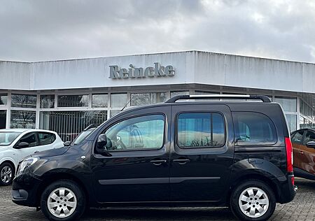 Mercedes-Benz Citan Cdi110 KlimautSiheizTempPDCAllwettReifAHK