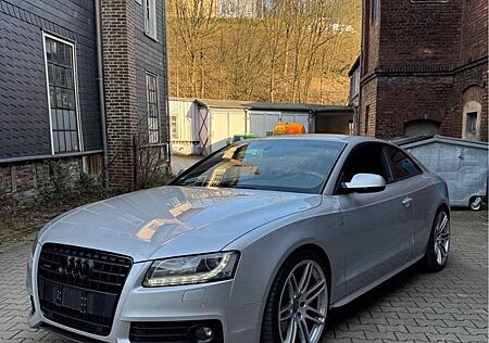 Audi A5 3.0 TDI (DPF) tiptronic quattro -