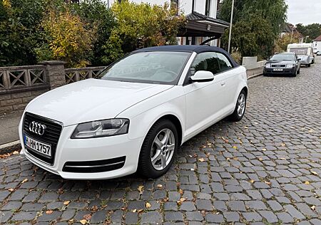 Audi A3 2.0 TDI Attraction Cabriolet Attraction
