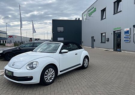 VW Beetle Volkswagen Cabriolet Basis BMT