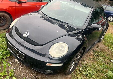 VW Beetle Volkswagen 1.6 Benzina