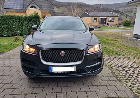 Jaguar F-Pace 30d AWD Pure Automatik Pure