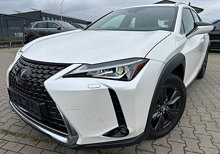 Lexus UX UX250H Luxury Line* 2 x Farbe leder