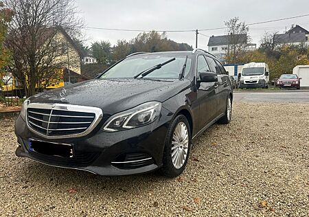 Mercedes-Benz E 220 gebraucht kaufen Mercedes-Benz E 220 E -Klasse T-Modell BlueTec
