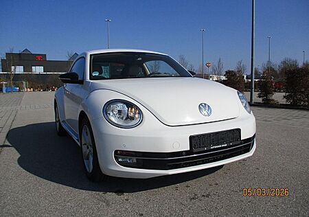 VW Beetle Volkswagen Lim. Sport