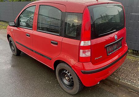 Fiat Panda 1.2 TÜV 12/2027