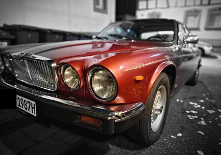 Jaguar XJ12 gebraucht kaufen Jaguar XJ12 XJ Daimler Double