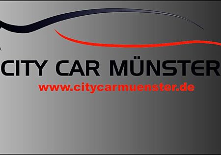 Nissan Pulsar Black Edition ACC Spur T.leder Navi Kam